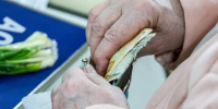 Воронежцам рассказали, будут ли пенсии выплачиваться цифровыми рублями - РИА Воронеж