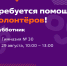 Ивановская гимназия №30 ищет волонтеров на субботник - Известно.ру