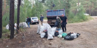 Мэр Братска предостерегает жителей от создания свалок в лесу из-за медведей - Weacom.Ru