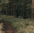 Череповец-поиск - Cher-Poisk.Ru