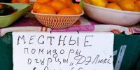 В чём подвох томатного разнообразия Астрахани - Ast-News.Ru