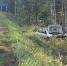Страшная авария случилась рядом с дачами под Петрозаводском - Gubdaily.Ru