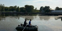 В Менделеевске в пруд Ушковских островов выпустили более ста толстолобиков - ИА Татар-информ