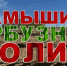 Программа XVIII Камышинского Арбузного фестиваля - Технологический институт