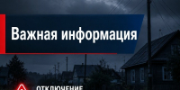 В связи с работами планируется отключение э/э 24.08.26  с 9-00 до 17-00,  в нас.пунктах:. - Красноборский муниципальный округ