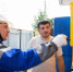 Газификация - Prim.News