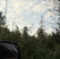 IMG_9426.jpeg - ИА Удмуртия