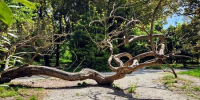 Фото: НИА Кубань - НИА-Кубань