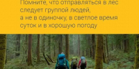 Красраб. Сибирский новостной портал - Газета Красноярский рабочий
