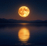 article23340.jpg - 59i.Ru