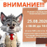 ВНИМАНИЕ! - МФЦ