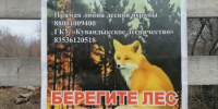 Напоминаем о соблюдении правил пожарной безопасности  - Кувандыкский городской округ