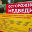 Природный парк «Ергаки» закроют для туристов из-за медведей - Власть Труда