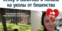Пермячка покормила белку в Балатово и попала на уколы от бешенства - VikiPerm.Com