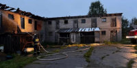 Кролика спасли на пожаре в Кемском округе - StolicaOnego.Ru