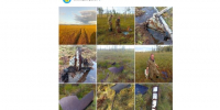 болото, поиск самолета, детали ИЛ-2 - Петрозаводск говорит