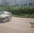Подросток-мотоциклист пострадал в тройном ДТП на улице Тварковского в Омске - Комсомольская Правда