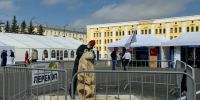 IMG_2080.png - Bnkirov.Ru