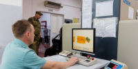 Грибные места России: куда ехать за белыми, лисичками и груздями - AmurMedia.Ru