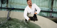 Илья Середюк рассказал о старте производства осетра в Кузбассе - Газета Комсомольская правда