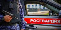 Росгвардейцы защитили горожанку от неадекватного поведения мужчины с отверткой - Росгвардия