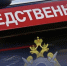 Жителю Великоустюгского округа предъявлено обвинение в применении насилия в отношении полицейских - Следственный комитет