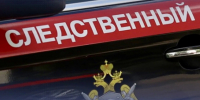 Жителю Великоустюгского округа предъявлено обвинение в применении насилия в отношении полицейских - Следственный комитет