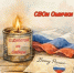 «СВОи Омички» - ТОС Омска