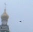 портал - Вологда-поиск