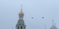 портал - Вологда-поиск