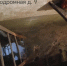 644DC0AB-0373-4B55-951B-EE7B193C121D.webp+2026-08-21-14.00.34+niz.jpg - Gorod48.ru