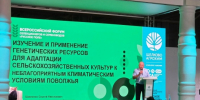 На Всероссийском форуме в Казани обсуждались вопросы отечественной селекции и семеноводства - Газета Сельский труженик
