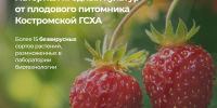 pitomnik predlagaet sajency - Костромская ГСХА