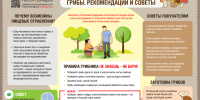 https://www.rospotrebnadzor.ru/files/news/A4-Grib_1980x1400px.jpg - Роспотребнадзор