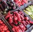 Ярмарки выходного дня откроются в Краснодаре 22 августа по четырем адресам: где купить фермерскую продукцию - Кубанские Новости