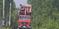 Штрафы за вред природе: в Рузском округе наказали двух нарушителей - Правительство Московской области