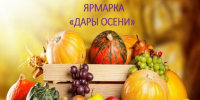 Сельскохозяйственная ярмарка в Юргамыше. - Юргамышский муниципальный округ