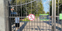 в парках Ступино ограничили использование электросамокатов - Городской округ Ступино