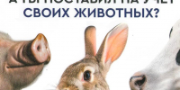 Россельхознадзор обращает внимание. - Котласский МО