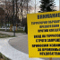В Орловской области пости каждый четвертый клещ является носителем боррелиоза - РИА 57