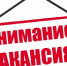 ВНИМАНИЕ: ВАКАНСИЯ ИНТЕРВЬЮЕРА!. - Мишкинский муниципальный округ