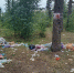 21.08.2026 | Сотрудники Минприроды Тверской области приняли участие в экоуборке на Константиновском карьере — важный вклад в сохранение природы региона - Министерство природных ресурсов и экологии