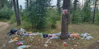 21.08.2026 | Сотрудники Минприроды Тверской области приняли участие в экоуборке на Константиновском карьере — важный вклад в сохранение природы региона - Министерство природных ресурсов и экологии