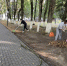 Перед Днем города провели благоустройство - Pesochnya40.Com