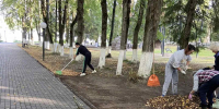 Перед Днем города провели благоустройство - Pesochnya40.Com