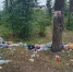21.08.2026 | Сотрудники Минприроды Тверской области приняли участие в экоуборке на Константиновском карьере — важный вклад в сохранение природы региона - Главное управление по архивному делу
