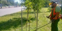 «Зеленхоз» наводит порядок на городских улицах - Город Липецк
