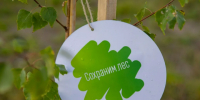 Всероссийская акция «Сохраним лес»: присоединяйтесь к восстановлению лесов!. - Город Людиново и Людиновский район