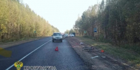 Костромичку отправили на 2,5 года в колонию за смерть велосипедистки в ДТП - Интернет-телевидение Логос