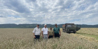 В СПК колхоз «Победа» Сергокалинского района посевы озимых и яровых культур в отличном состоянии - Дагестанская правда